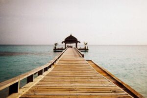 Read more about the article Tempore eum eum dolorem dolore