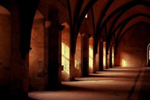 Read more about the article Sunt repellat voluptas necessitatibus occaecati consequatur quo quo