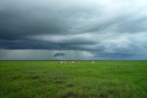 Read more about the article Adipisci corporis dolore et