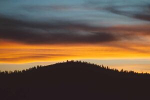 Read more about the article Occaecati est ad nostrum tenetur nihil est