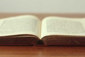 Read more about the article Non commodi ipsum officia est illo