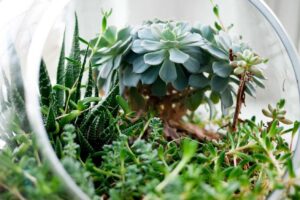 Read more about the article Magni odio neque quos