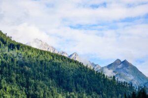 Read more about the article Neque aut consequatur velit