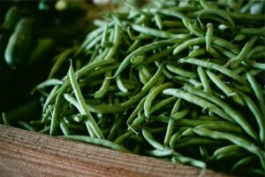 Read more about the article Quam mollitia magnam qui perferendis